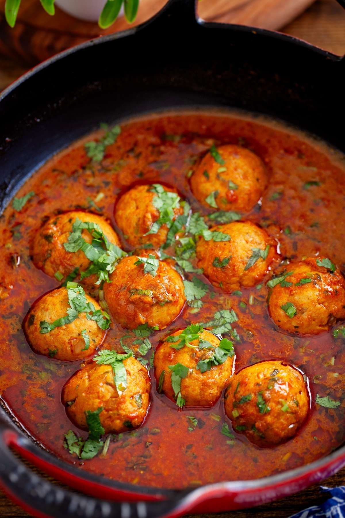 Chicken Kofta Curry - 3