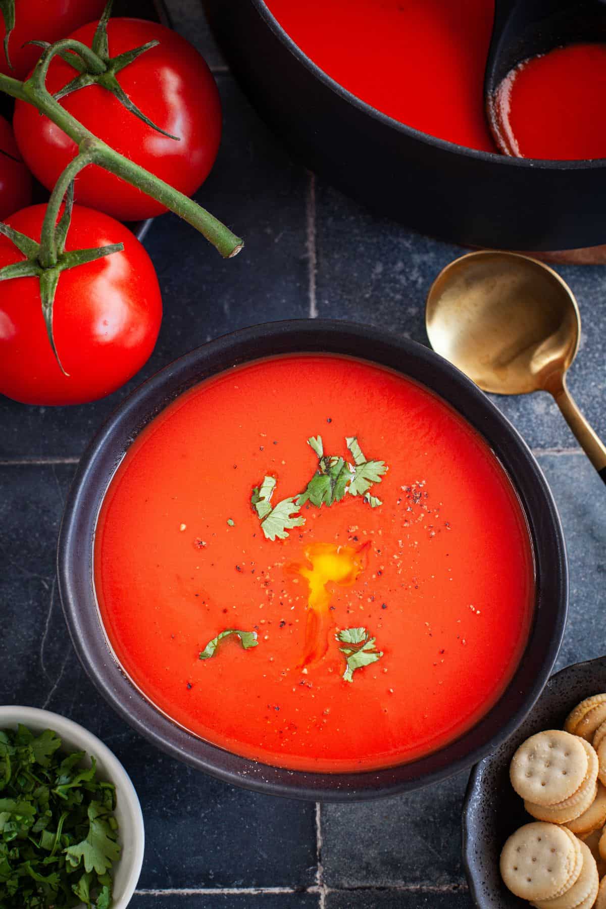 Indian Tomato Soup  No Heavy Cream  - 27