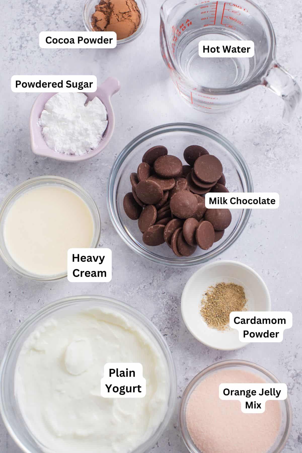 Ingredients Needed to make chocolate shrikhand.